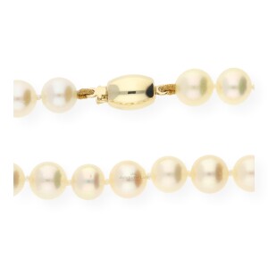 JuwelmaLux Perlenkette 585/000 (14 Karat) JL30-05-0081...