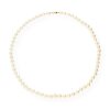 JuwelmaLux Perlenkette 585/000 (14 Karat) JL30-05-0081 Akoya-Zuchtperlen