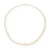 JuwelmaLux Perlenkette 925/000 Sterling Silber JL30-05-0084 Akoya-Zuchtperlen