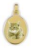Bild Anhänger Gold Oval (für Kette mit Bild) Fotogravur FGA4_G Gelbgold 14 Karat