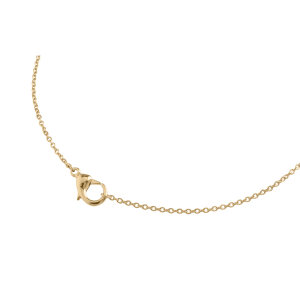 Boccia Halskette für Anhänger Titan Gold...