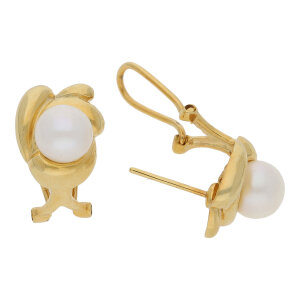 JuwelmaLux Steckclip Ohrringe 333 Gold mit...