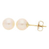 JuwelmaLux Damen Perlen Ohrringe Gold 333 Süßwasser Zuchtperle JL10-06-2575