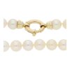 JuwelmaLux Perlenkette 585/000 (14 Karat) Gold Akoya Zuchtperlen JL30-05-1853