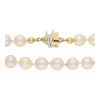 JuwelmaLux Perlenkette 375/000 (9 Karat) Gold- und Weißgold mit Akoya Zuchtperle JL30-05-3149