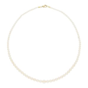 JuwelmaLux Perlenkette 333/000 (8 Karat) Gold mit Akoya-...