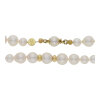 JuwelmaLux Perlenkette 585/000 (14 Karat) Gold mit Akoya Zuchtperlen JL30-05-3564