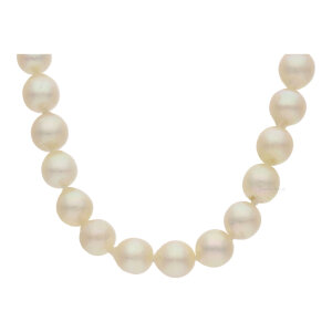 Perlenkette 585/000 (14 Karat) Weißgold mit Akoya...