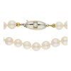 Perlenkette 585/000 (14 Karat) Weiß- und Gelbgold mit Akoya Zuchtperlen, getragen 25322113
