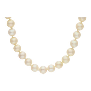 Salzwasser Perlenkette mit Weißgold Verschluss,...