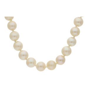 Perlenkette 25323989 Second Hand Akoya Zuchtperle 7,5 mm Ø, getragen