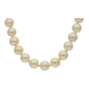 Perlenkette Damen Akoyazuchtperle 585 Goldverschluss...