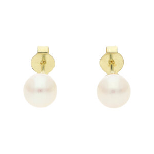 Ohrstecker 585 Gold Akoyazuchtperle Damen getragen...