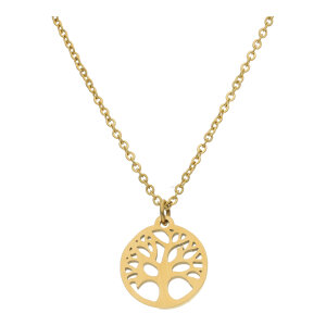 Collier mit Anhänger Edelstahl, Ionen Goldplattiert...