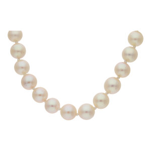 Akoya Perlenkette Gold Verschluss 585 JL30-05-5234...