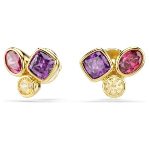 Swarovski Ohrstecker Imber 5760019 Verschiedene Schliffe,...